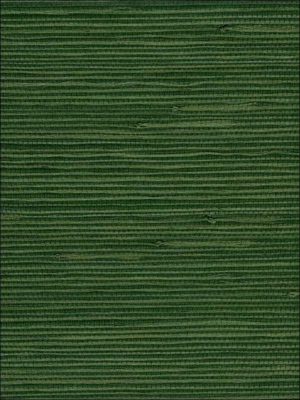 New Anthropologie x Seabrook NA305 Jute Green Grasscloth Wallpaper